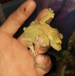 20160816_185748-1.jpg