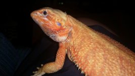 20160701_143403.jpg