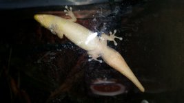 20160122_215214.jpg