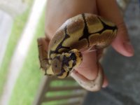 20160826_164929.jpg