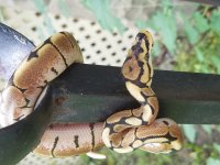 20160826_165809.jpg