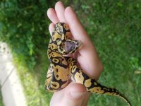20160826_164223.jpg
