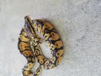 20160826_171558.jpg