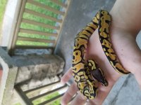 20160826_180839.jpg