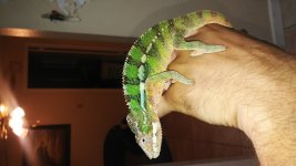20160517_162325.jpg