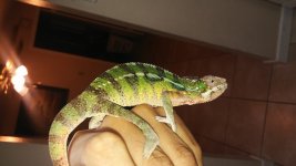20160517_162316.jpg