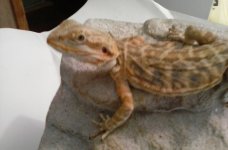 20160826_185749.jpg