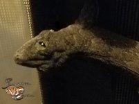 20160430_185501.jpg
