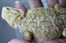 20160707_174616.jpg