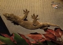 20160430_185448.jpg