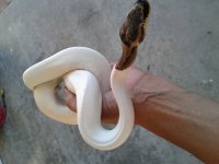 20160718_175509.jpg
