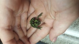 20160920_181103.jpg