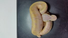 20160825_064342.jpg