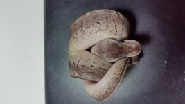 20160825_064556.jpg