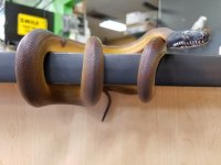 20161015_110640.jpg