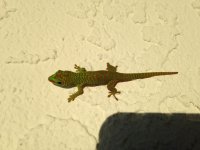 IMG_4476.jpg