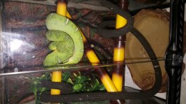 20160630_211631.jpg