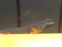 IMG_1780.jpg