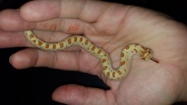 20160813_160639.jpg