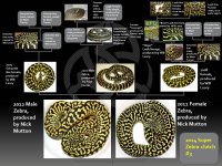 2014 Super Zebra Clutch _3 (WLZ).jpg