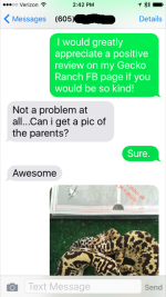 IMG_3211.PNG