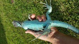 20160801_182704.jpg