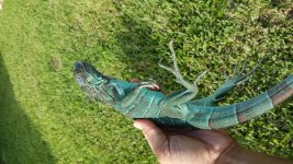 20160801_182627.jpg