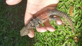 20160723_162436.jpg