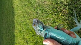 20160801_182715.jpg
