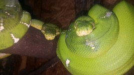 20160325_153856.jpg