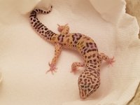 20160630_211547.jpg