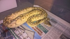 WP_20160704_17_12_55_Pro.jpg