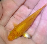 IMG_20160620_071243.jpg
