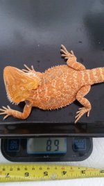20160905_144814.jpg