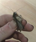 IMG_20160906_164947.jpg