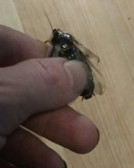 IMG_20160906_165006.jpg