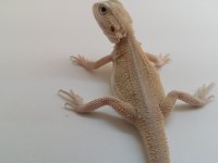 20160801_094624.jpg