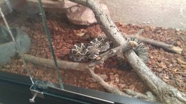 20160703_150139.jpg