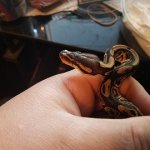 20161005_100823.jpg