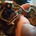 20161005_100848.jpg