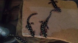 20160815_151405.jpg