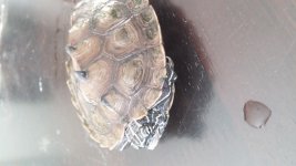20160618_073438.jpg