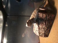 IMG_0855.jpg
