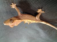 20160527_181513.jpg