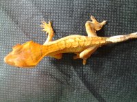 20160527_190342.jpg