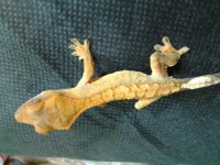 20160527_190356.jpg