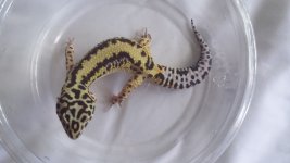 20160829_151406.jpg