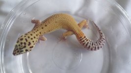 20160829_151216.jpg