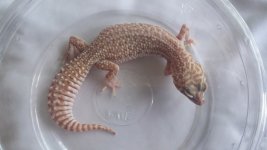 20160829_151715.jpg
