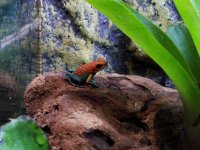 20160813_121637.jpg